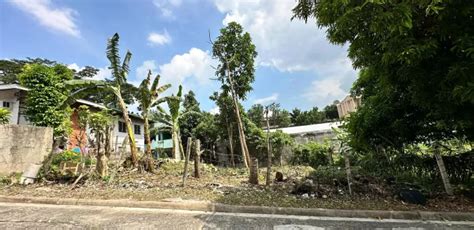 Memorial For Sale in Mayana, Cebu .